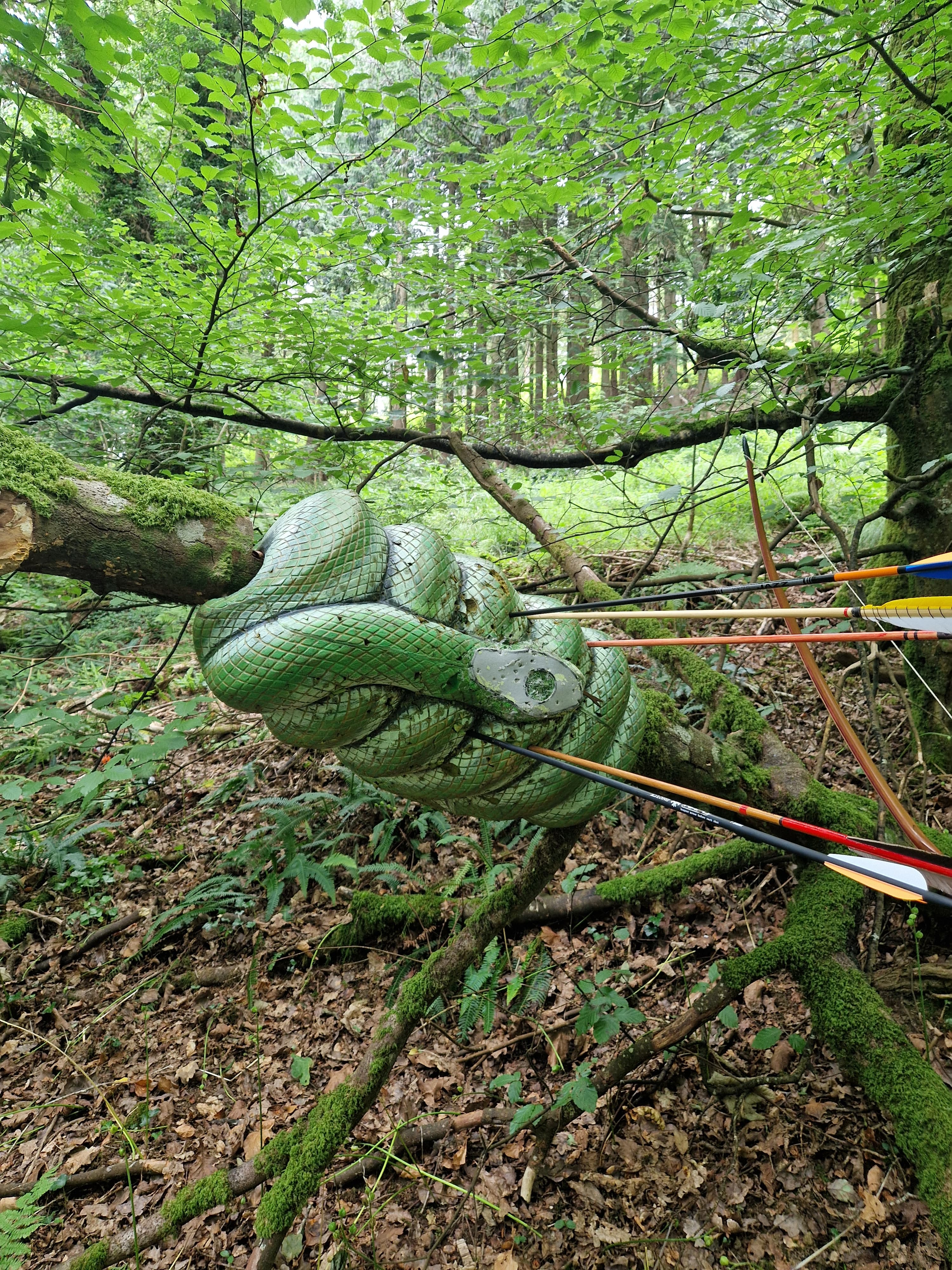 A 3D field archery target in woodland after a group has shot